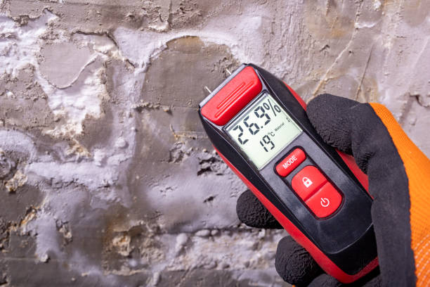 Best Industrial Mold Remediation in Alondra Park, CA
